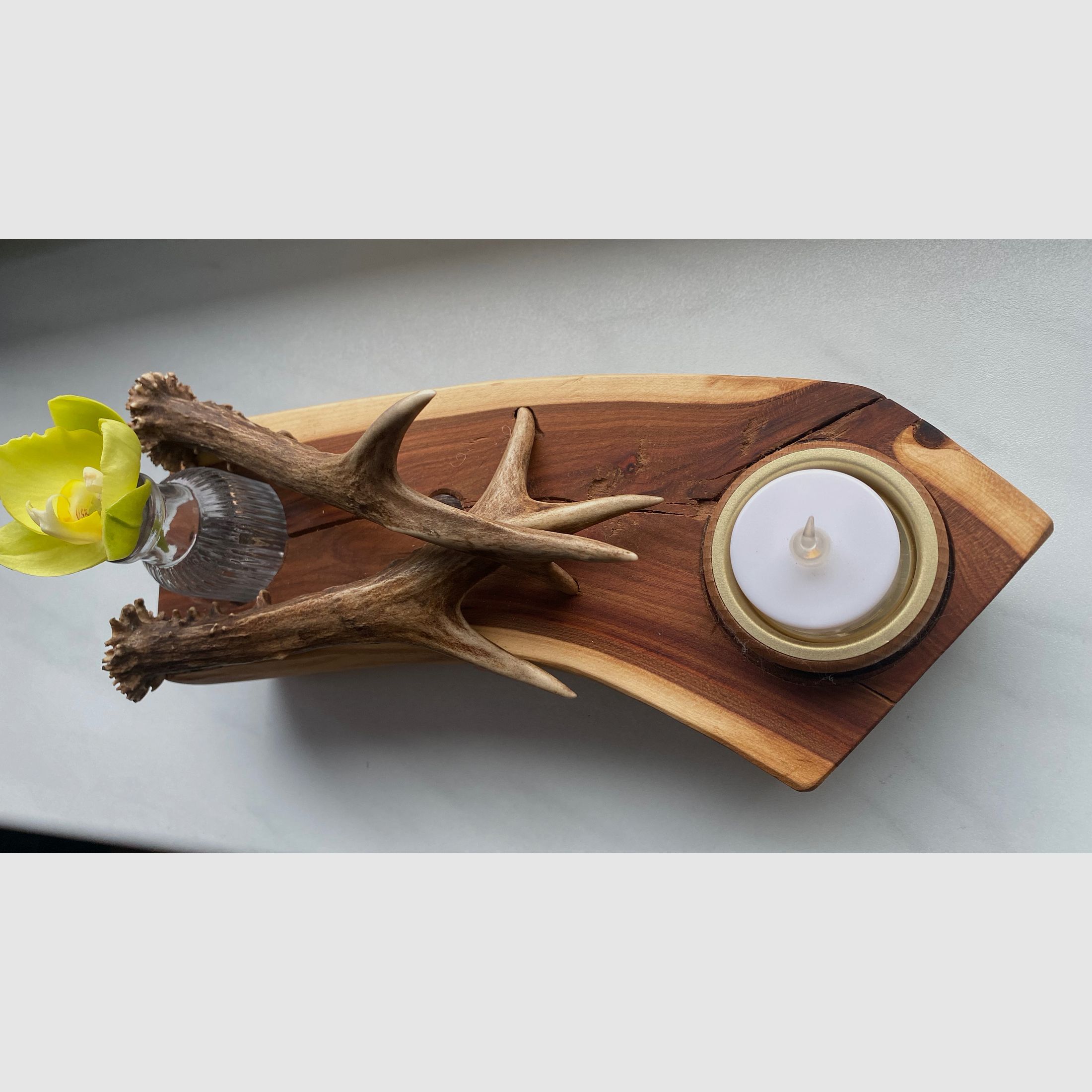 Table decoration decoration lighting vase antlers wood