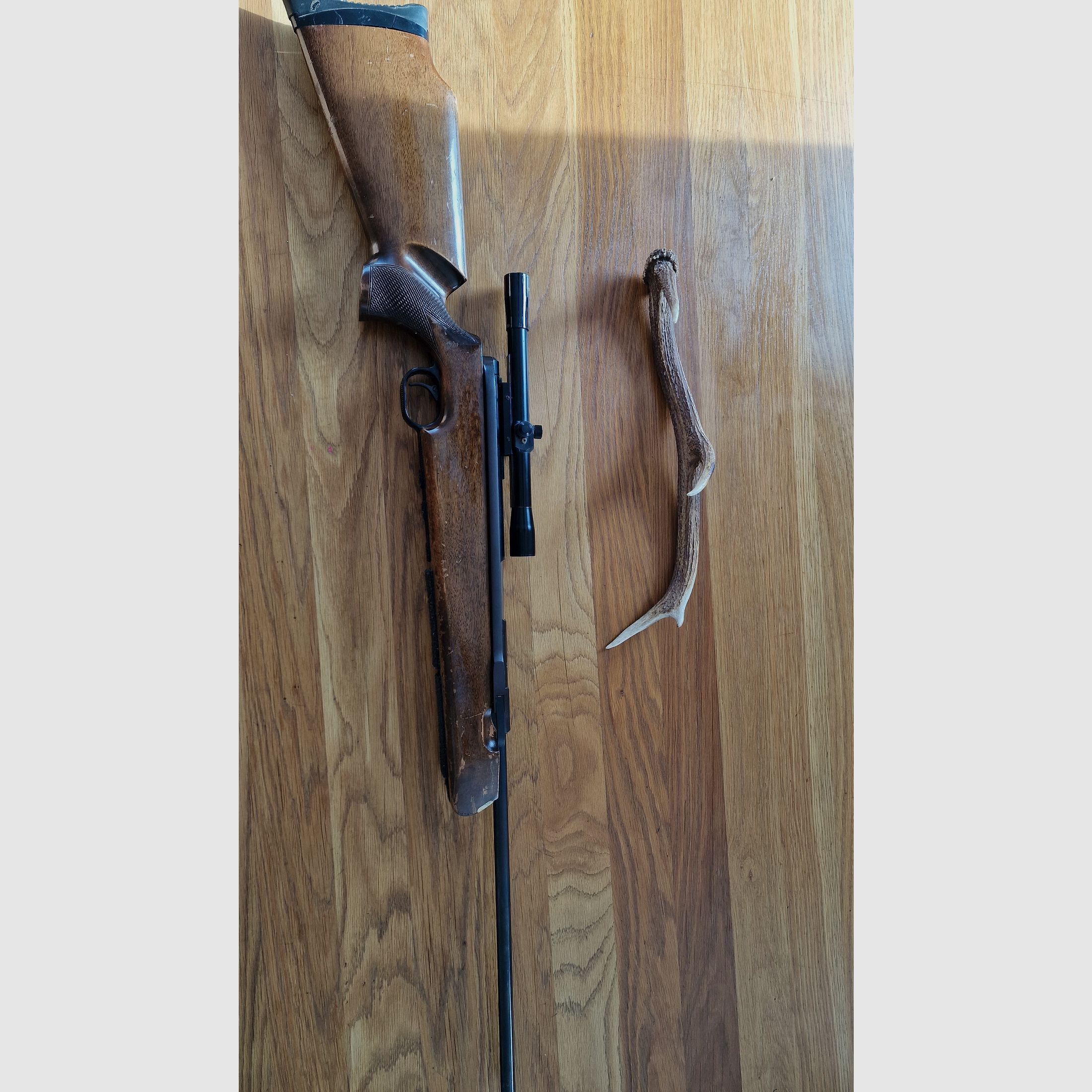 Feinwerkbau Luftgewehr Diana Luftgewehr Doppelpack