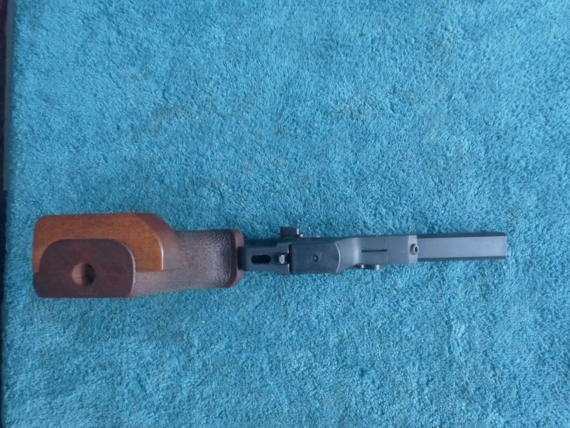 Walther GSP , .22LR