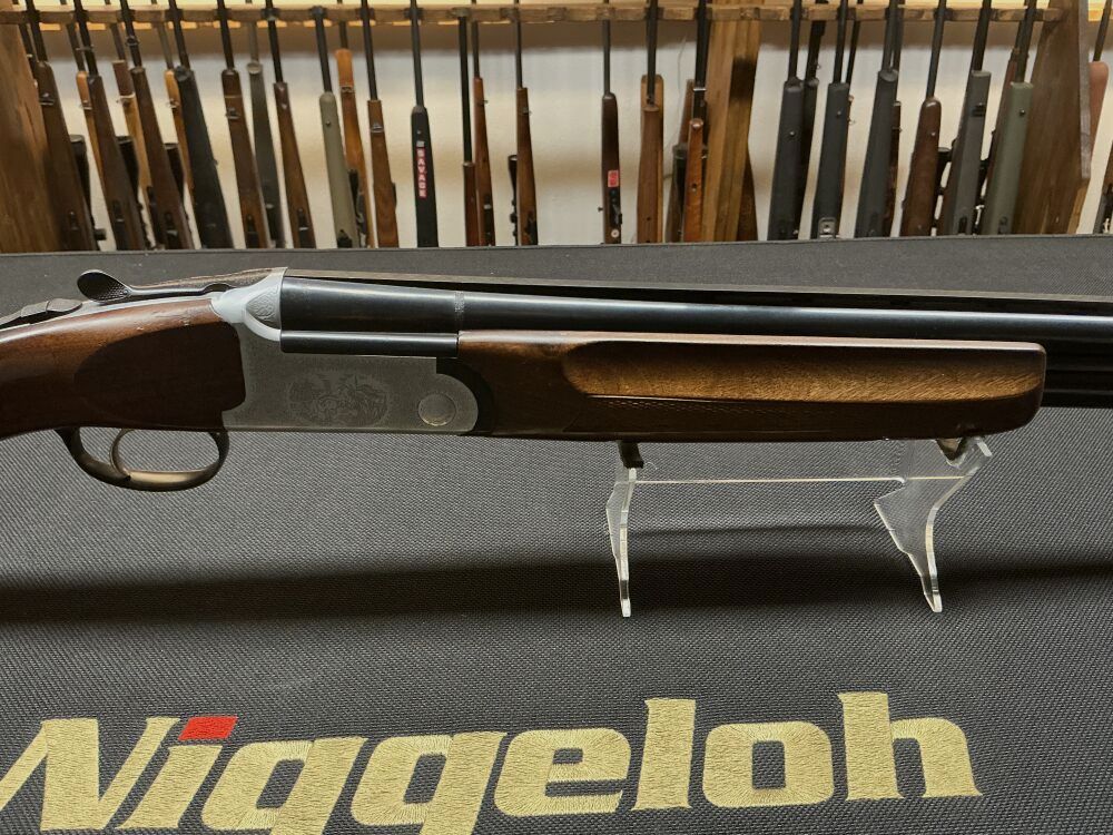 Gladius Adventure 12/70, image 4 of 10