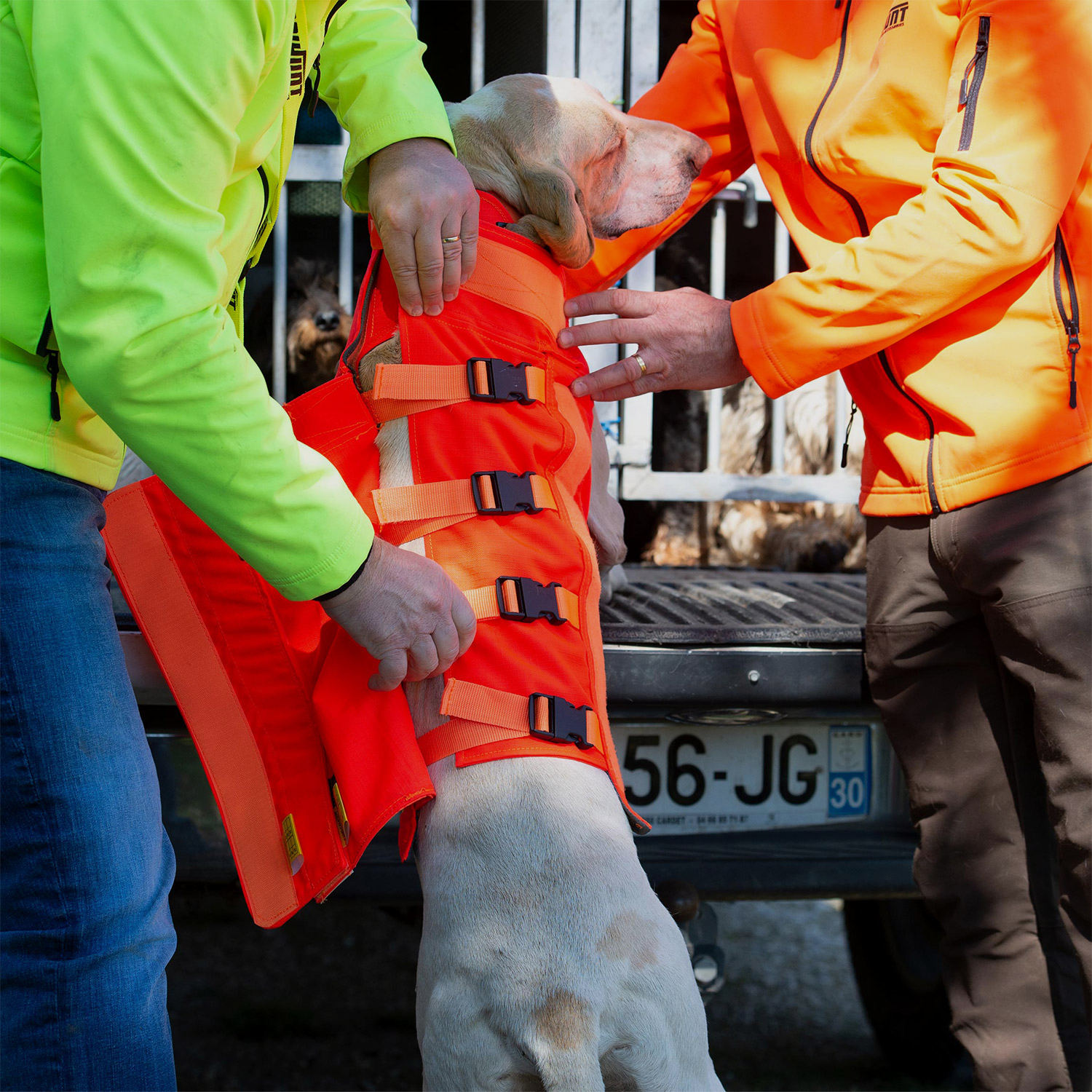 Gilet CaniHunt Protect Hundeweste V3, Bild 5 von 6