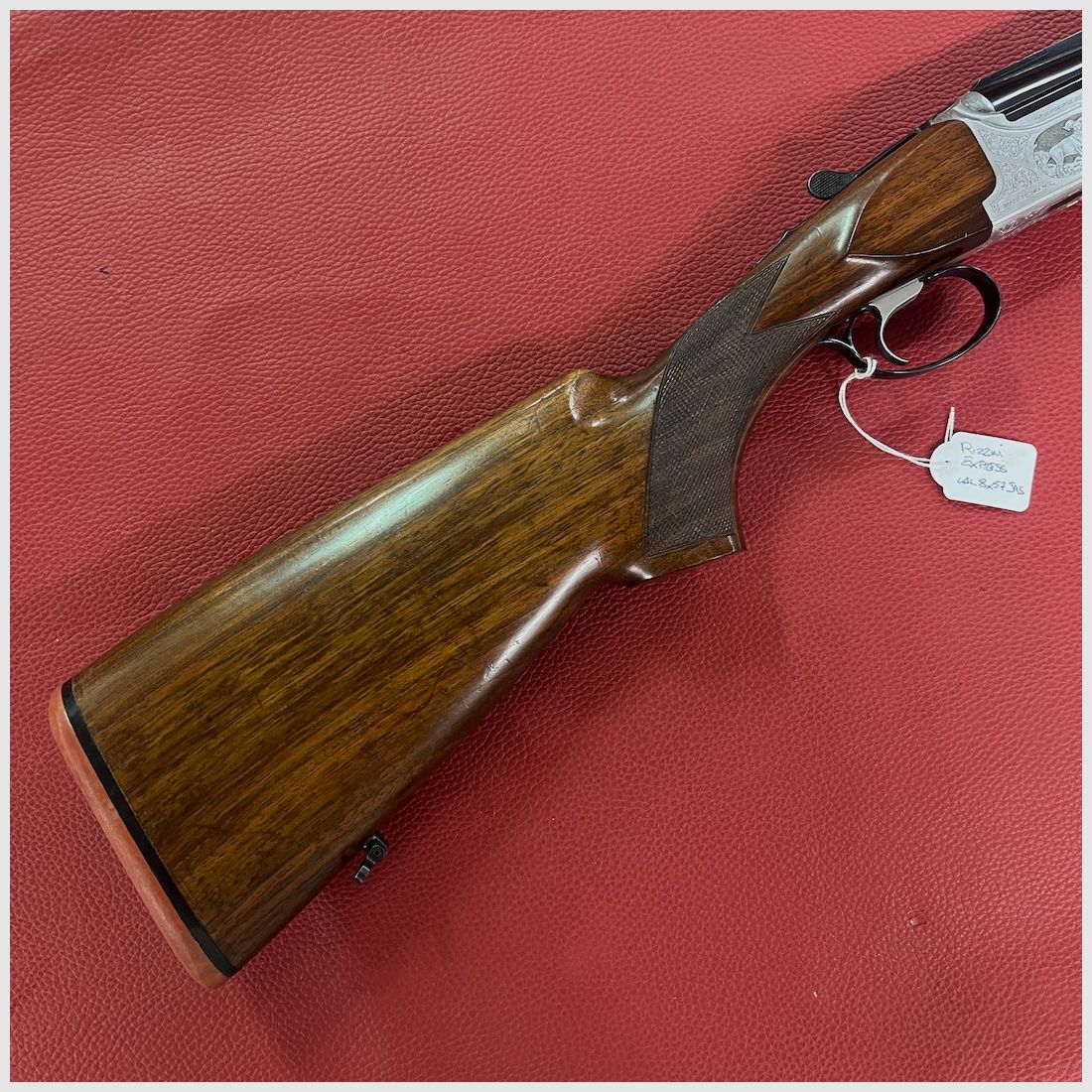 Rizzini Express Pyrrum, immagine 6 di 9