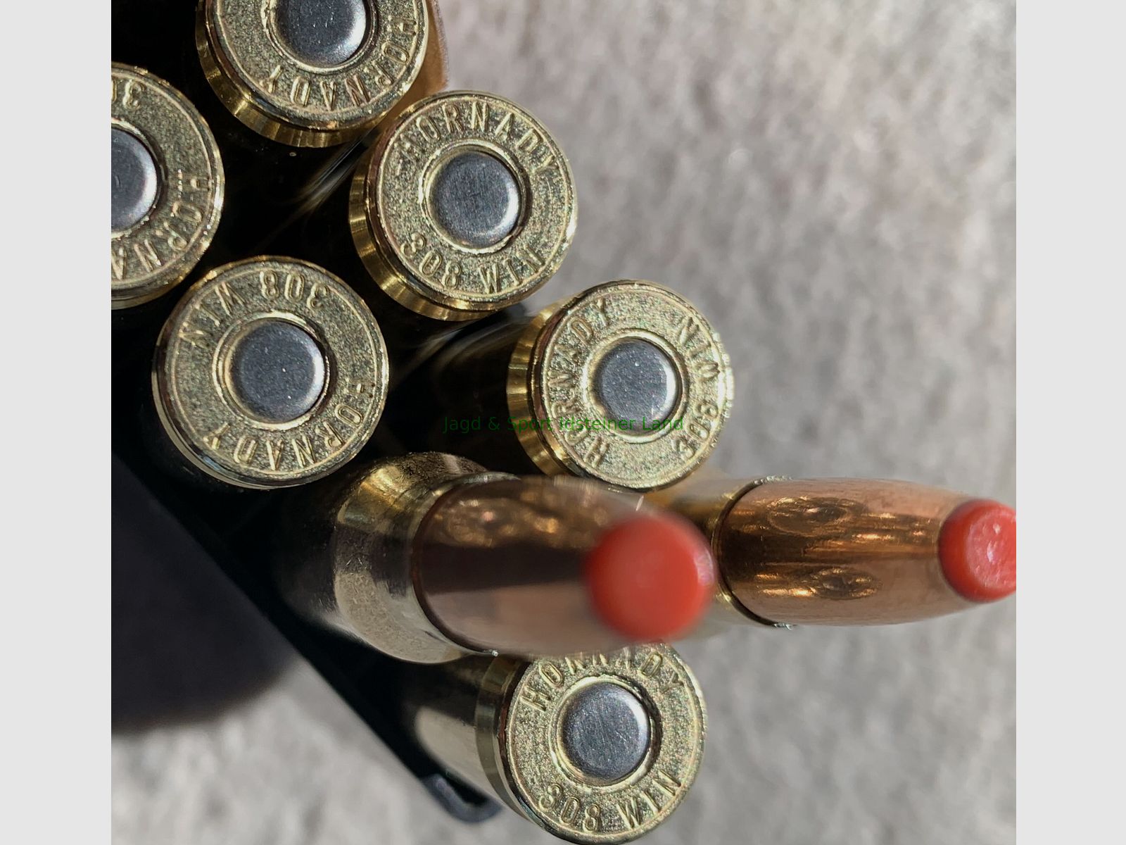 Hornady ECX -bleifrei- 165grs