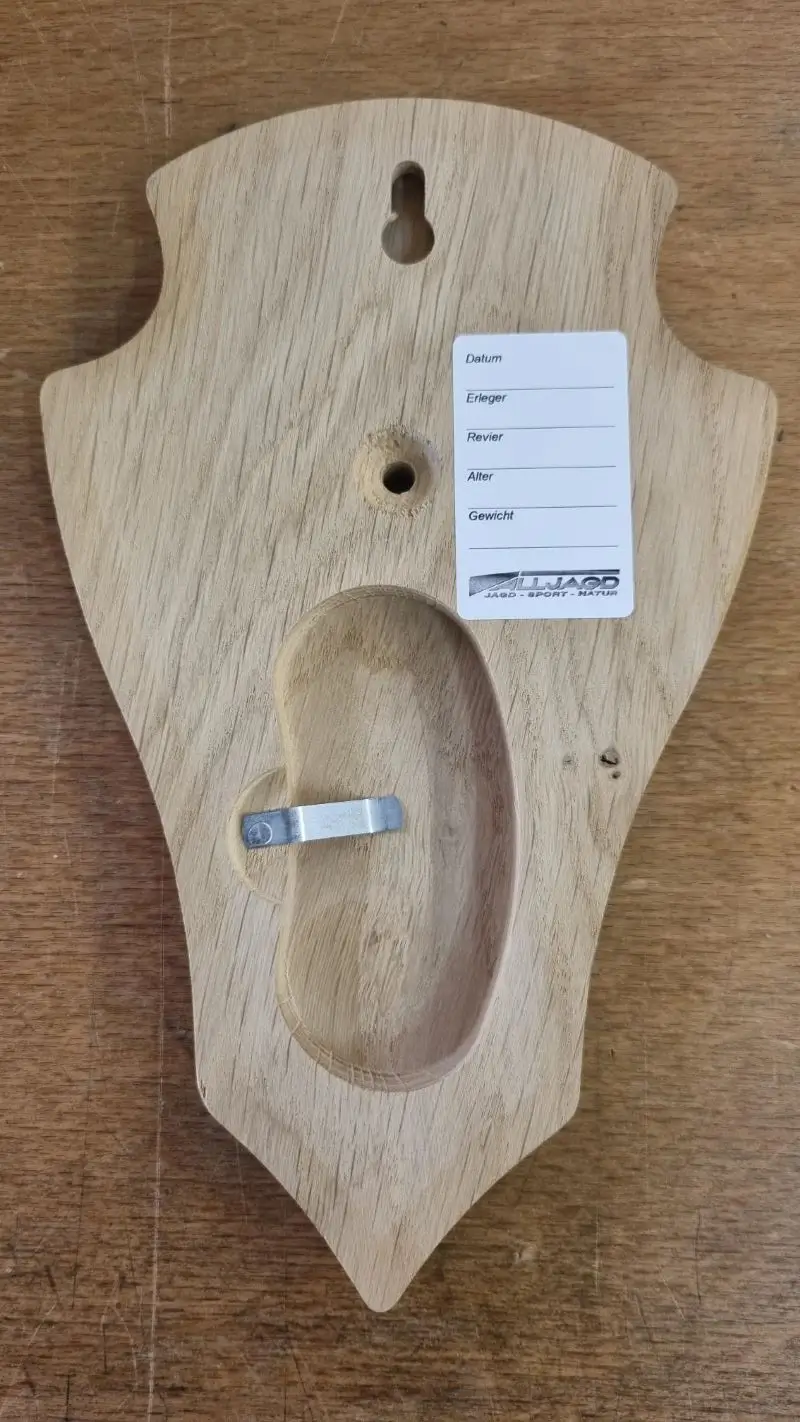 Pointed oak trophy plaque for roe deer, image 2 of 2