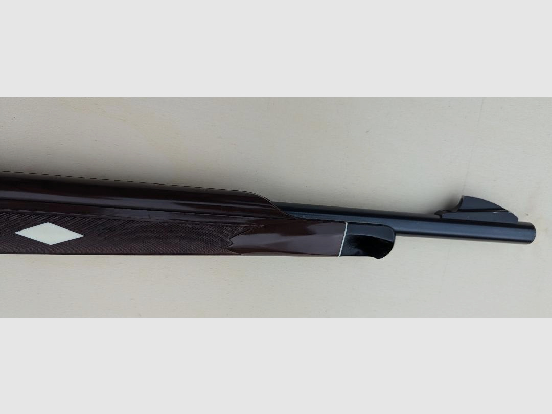 Nylon 76 Remington .22lr, onderhevel herhalingsgeweer