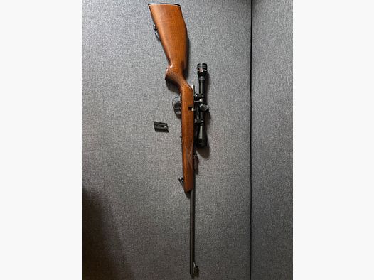 Bolt-action rifle small caliber .22 lr with scope