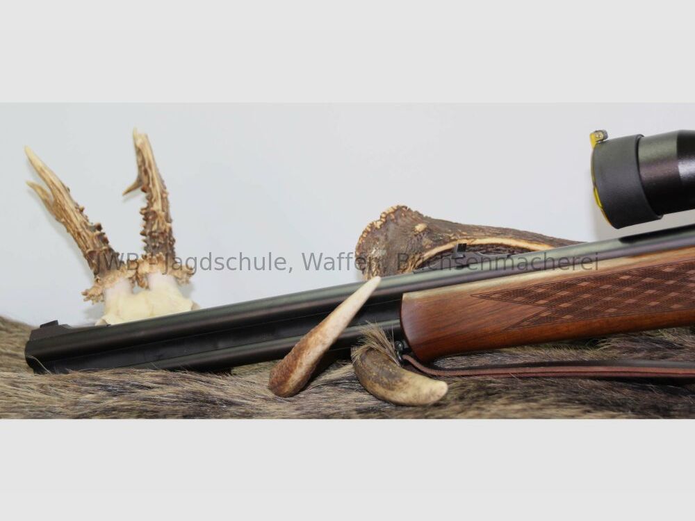 Blaser B95 mit Swarovski Habicht für den großen Jäger .30-06Spring;12/70
