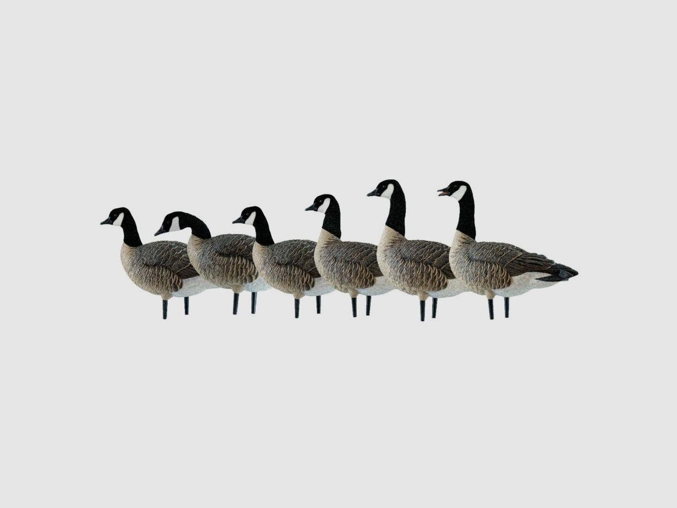 6 Formen von Bernache AvianX Full Body Active, Bild 2 von 2