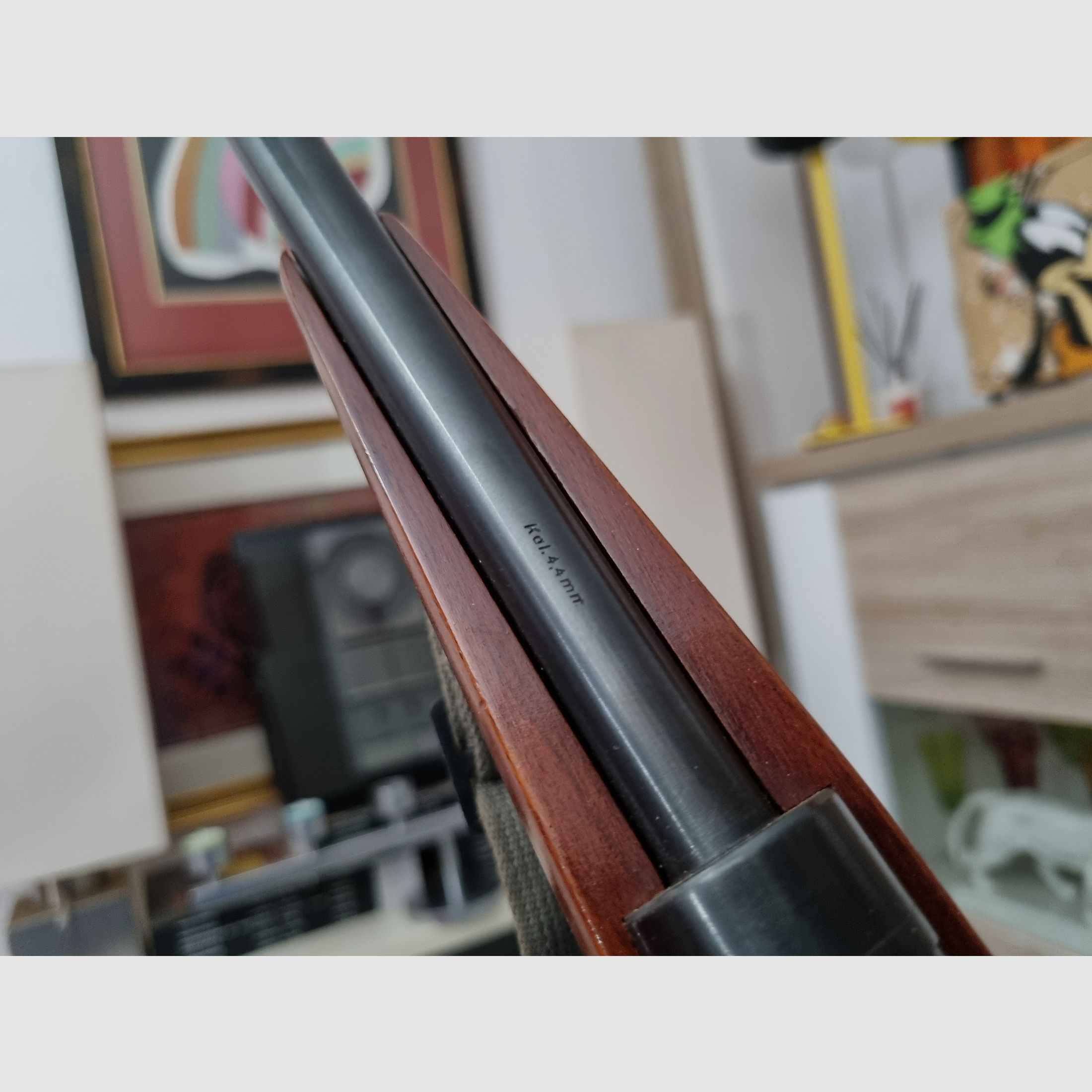 Haenel Modelo 310 Calibre 4,4mm *muy buen estado*