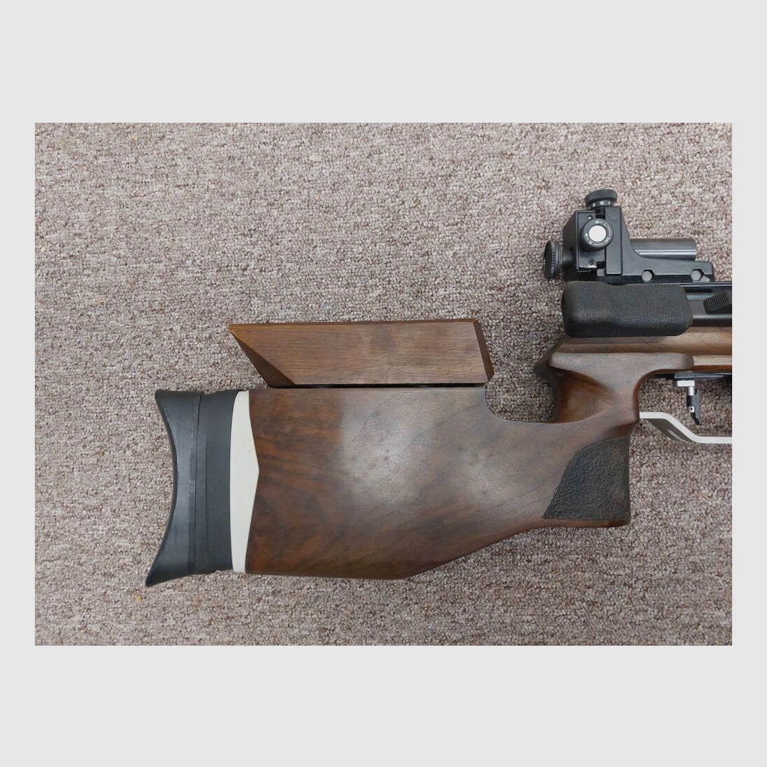 Diana 100