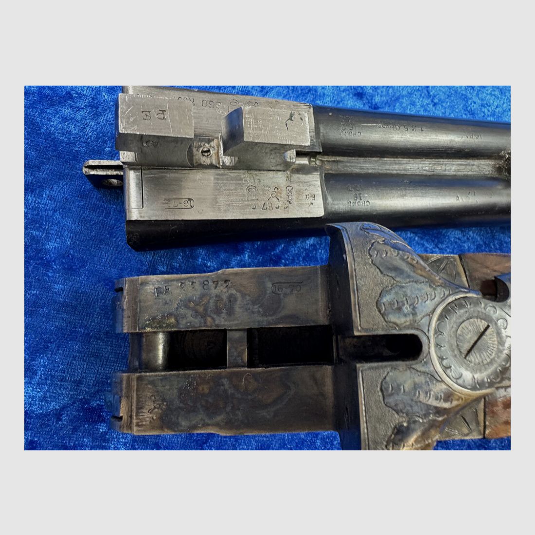 El Faisan Querflinte