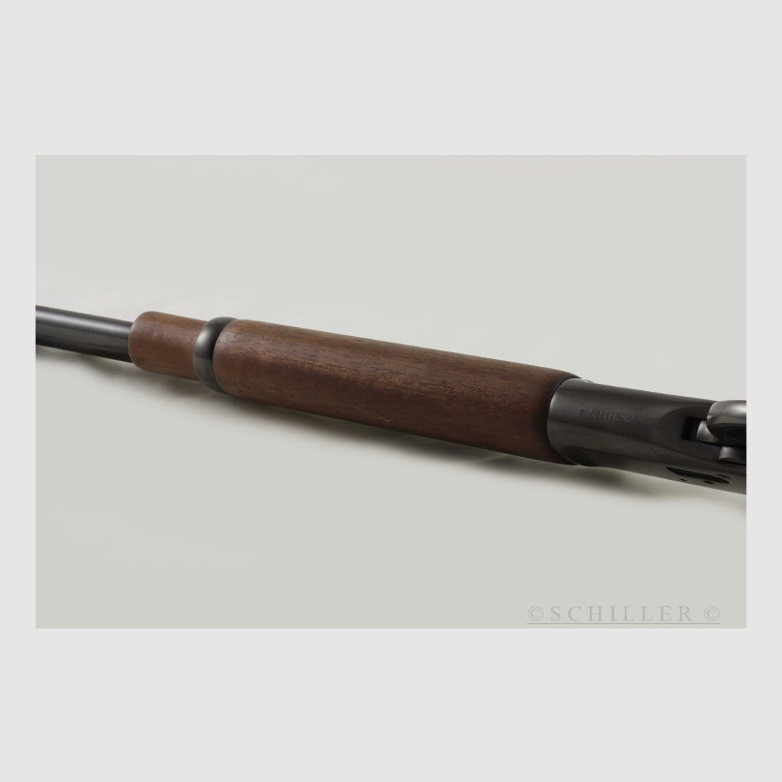 Rossi 1892