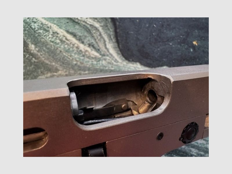 Walther GSP .22 l.r. met barrel weight