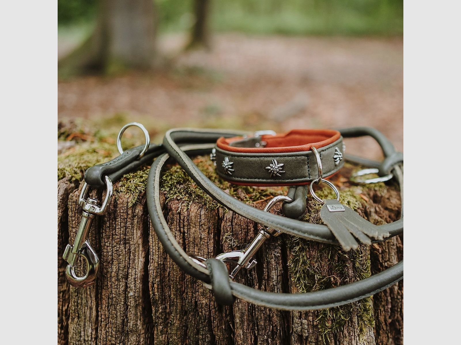 Hunter V-Leine München Round