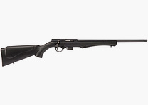 Rossi 8117 17HMR