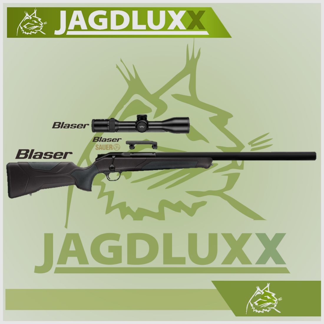 Blaser R8 Professional 2.0 Silence black-brown in a set with Blaser B2 2-12x50 iC S