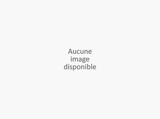 CARA SAKO S20 HUNTER GAUCHER NS 300WIN 24'' 61CM TUNGSTEN CERAKOTE FILL 5/8-24