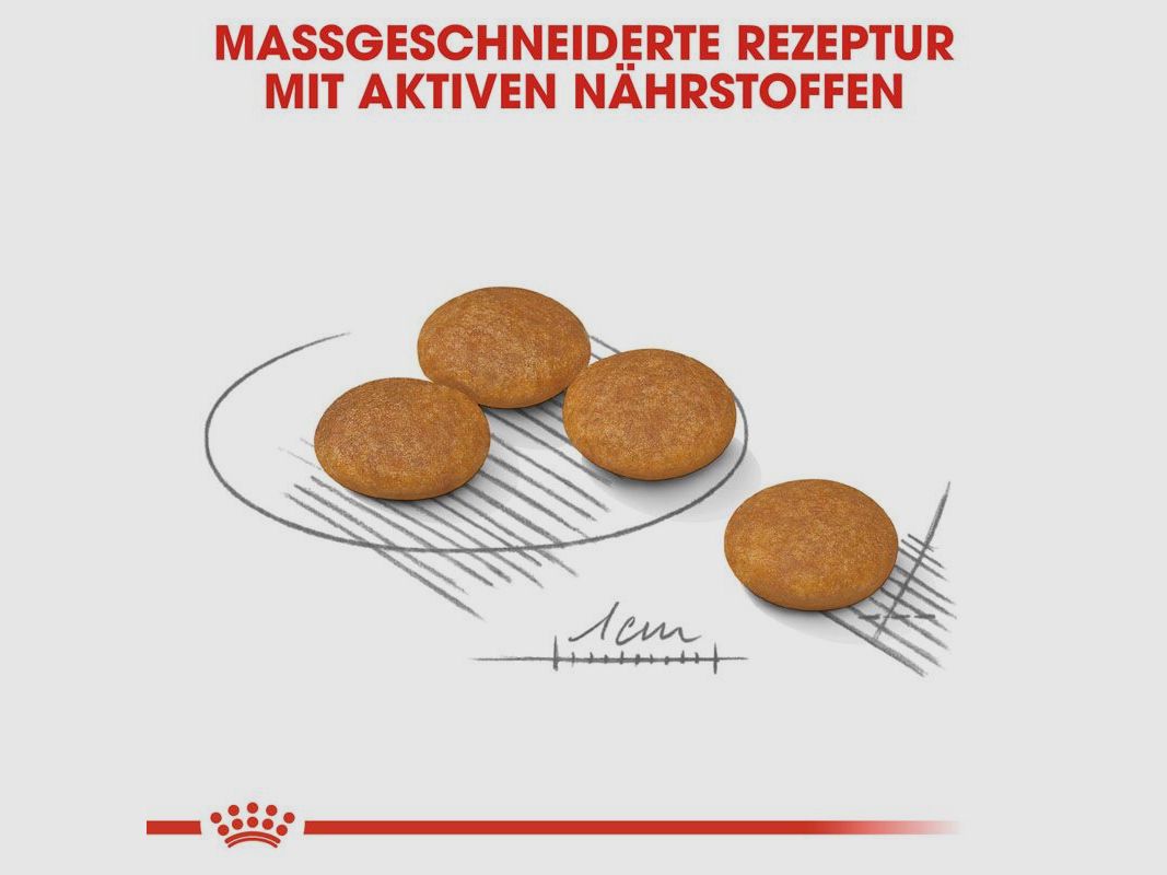 ROYAL CANIN Kleine Hunde Trockenfutter Dermacomfort Mini für empfindliche Haut