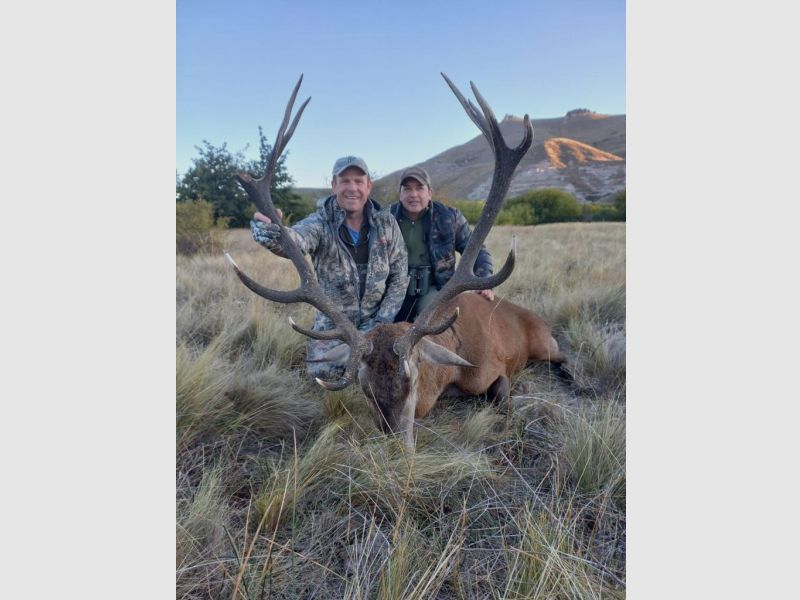Auf starke Rothirsche in Patagonien! Eine fantastische Jagd!