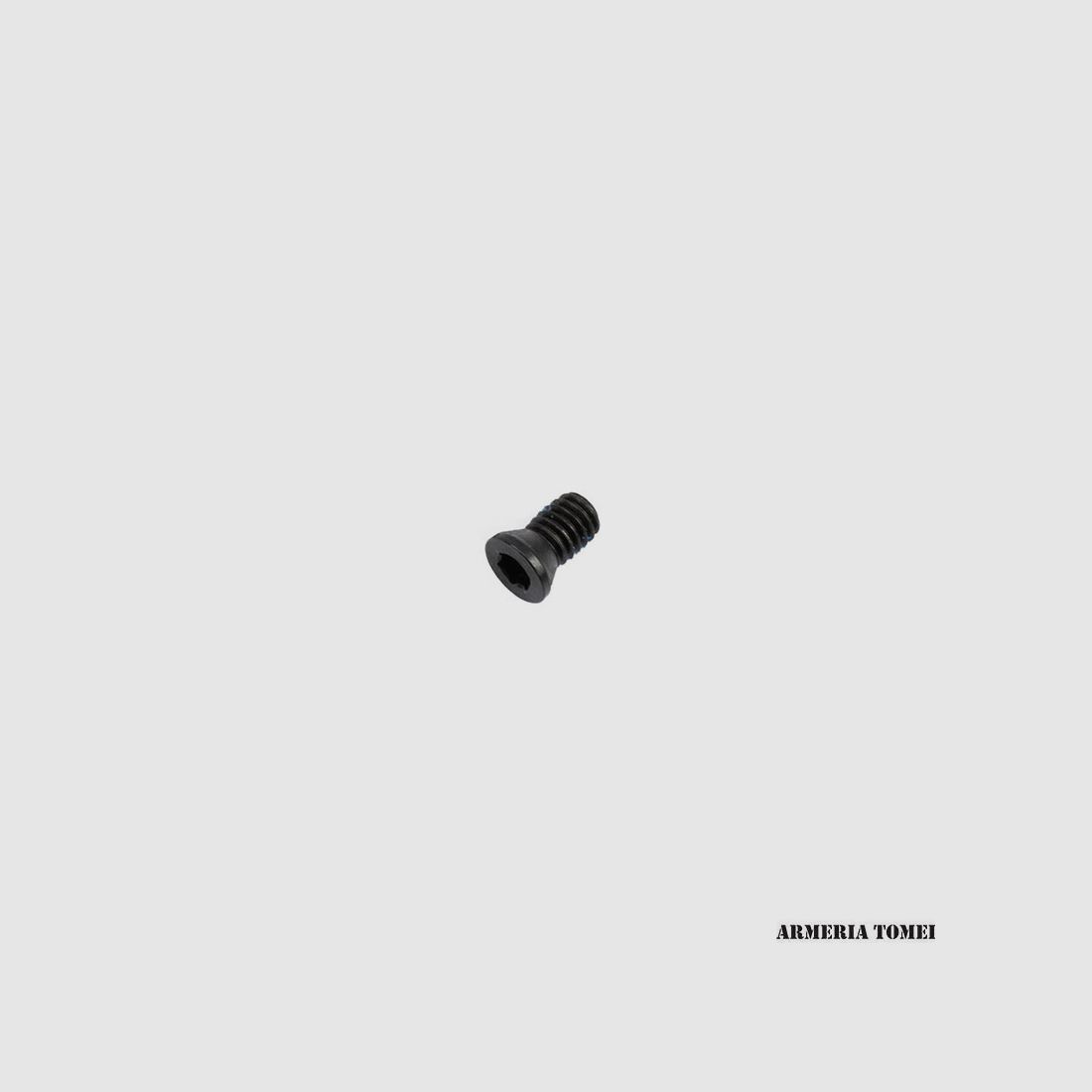 BERETTA – VITE SCREW M4 TORX T15 X PICATINNY C