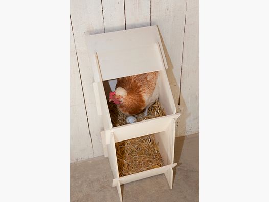 Nido de puesta para gallinas de madera