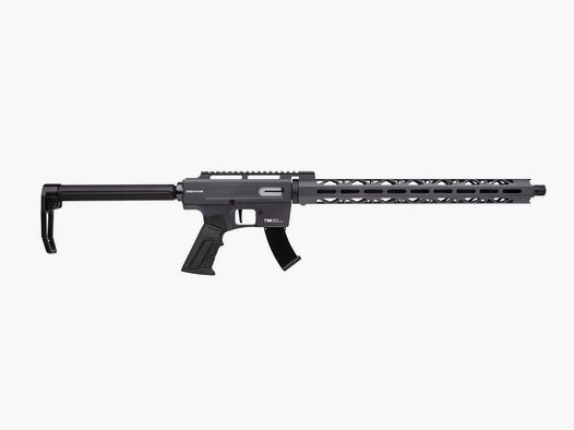 DERYA TM22 CAL 22LR CANON DE 18 GRIS, 2 CHARGEURS 10 COUPS