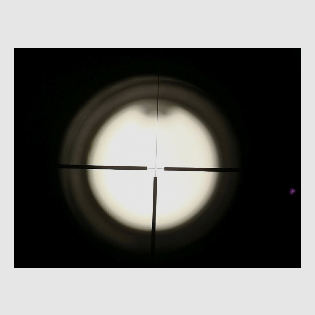 Blaser B95 (BBF 95)
