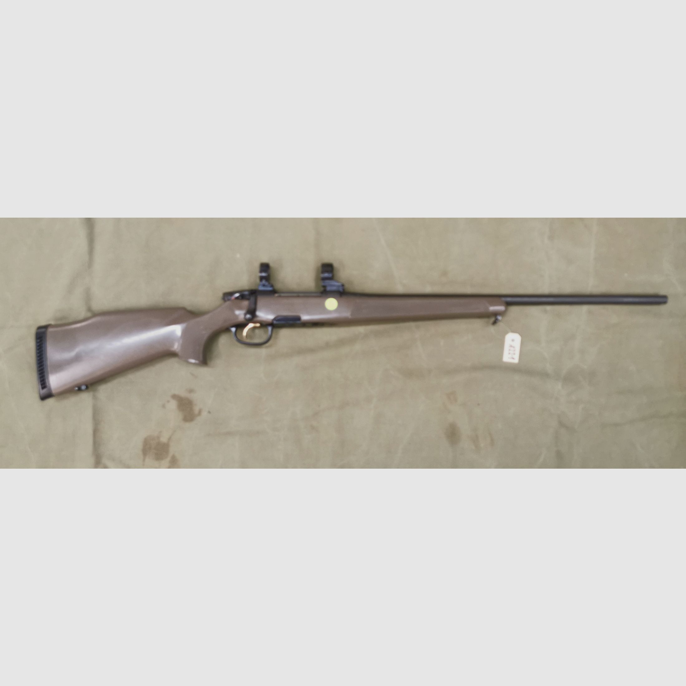Steyr Mannlicher M "green gun" Professional Hunter Modèle .30-06Spr.