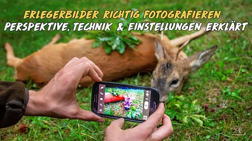 Erlegerbilder richtig fotografieren: Perspektive, Technik & Einstellungen erklärt