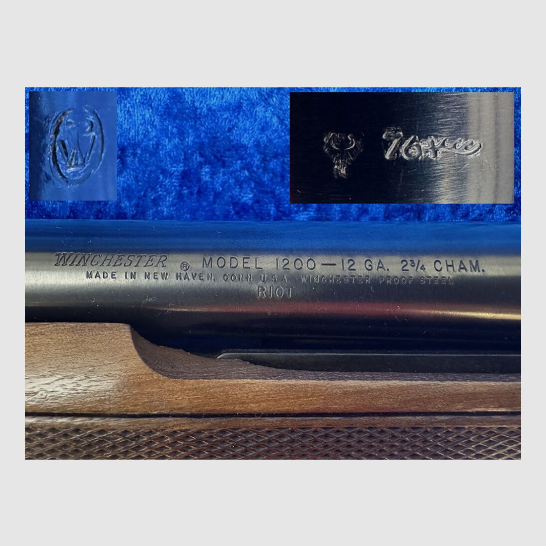 Winchester 1200 Riot