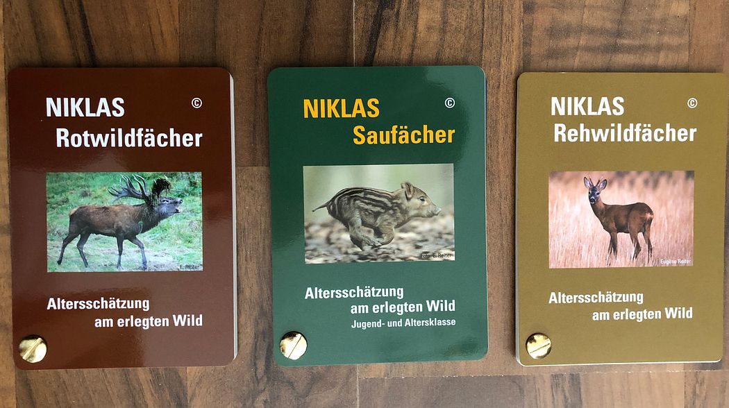 Niklas Sau-, Reh- und Rotwildfächer