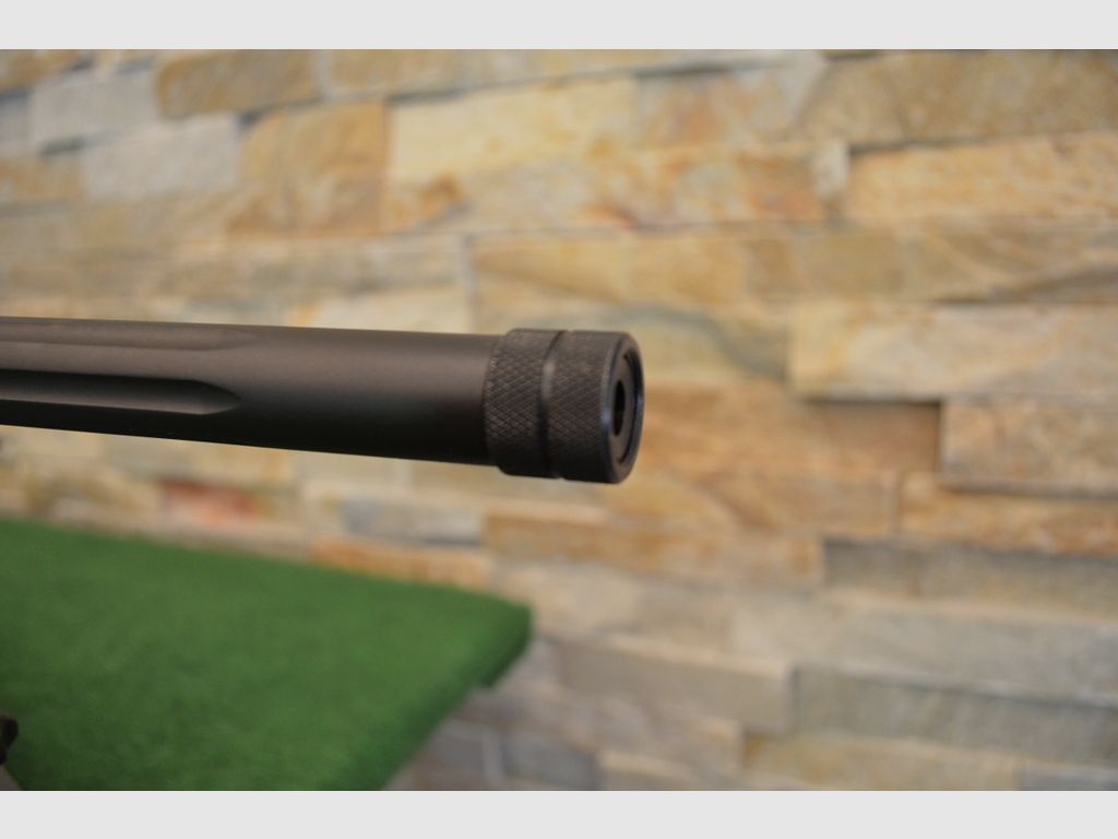 Savage Arms Model 10 BA Stealth