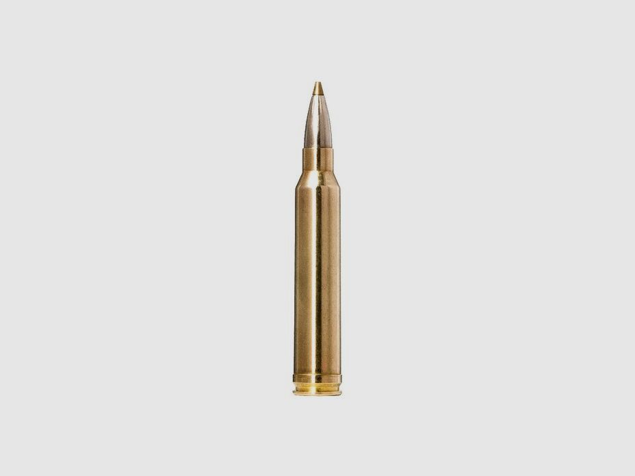 NORMA .300 Win. Mag. Evostrike 9,0g/139gr, Bild 2 von 2