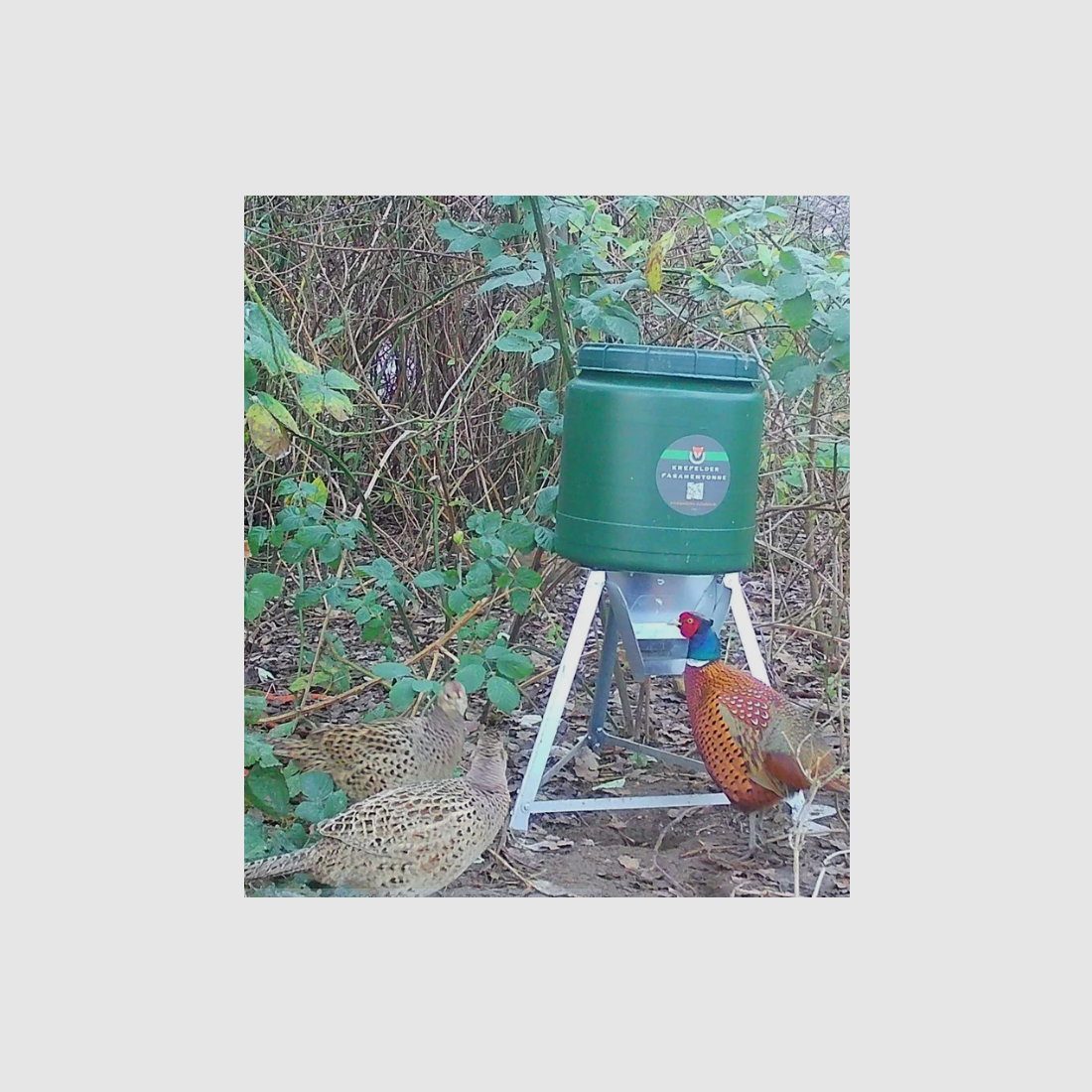 Krefelder Fasanen-Futtertonne – 40 Liter, Bild 4 von 5