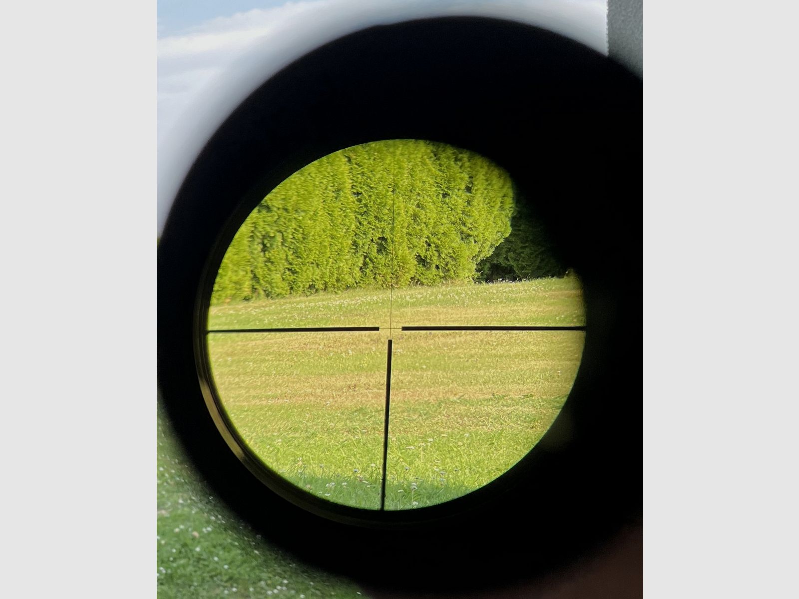 ZEISS Diavari VM 3-12x56 T z podświetlanym krzyżem na montażu siodłowym Blaser