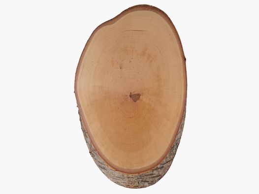 Hirschschild Birke