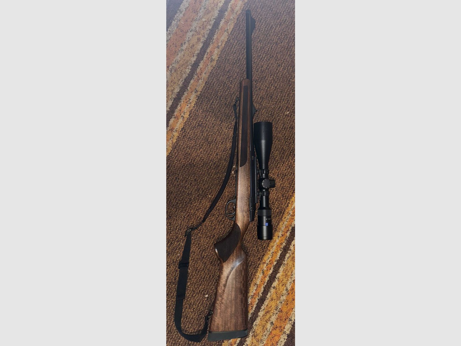 Brenner BR 20 . 308 Win, + SDFritz45 + Falke 3-12*56