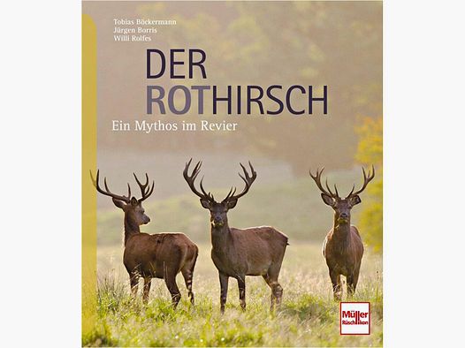 Der Rothirsch - Ein Mythos im Revier