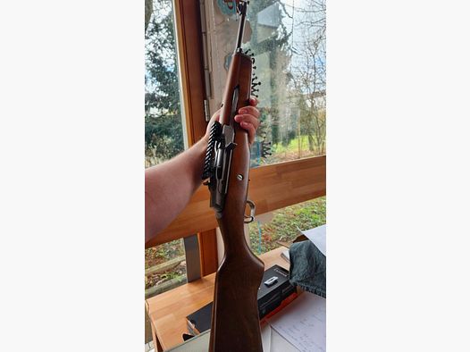 Ruger Mini 14 223