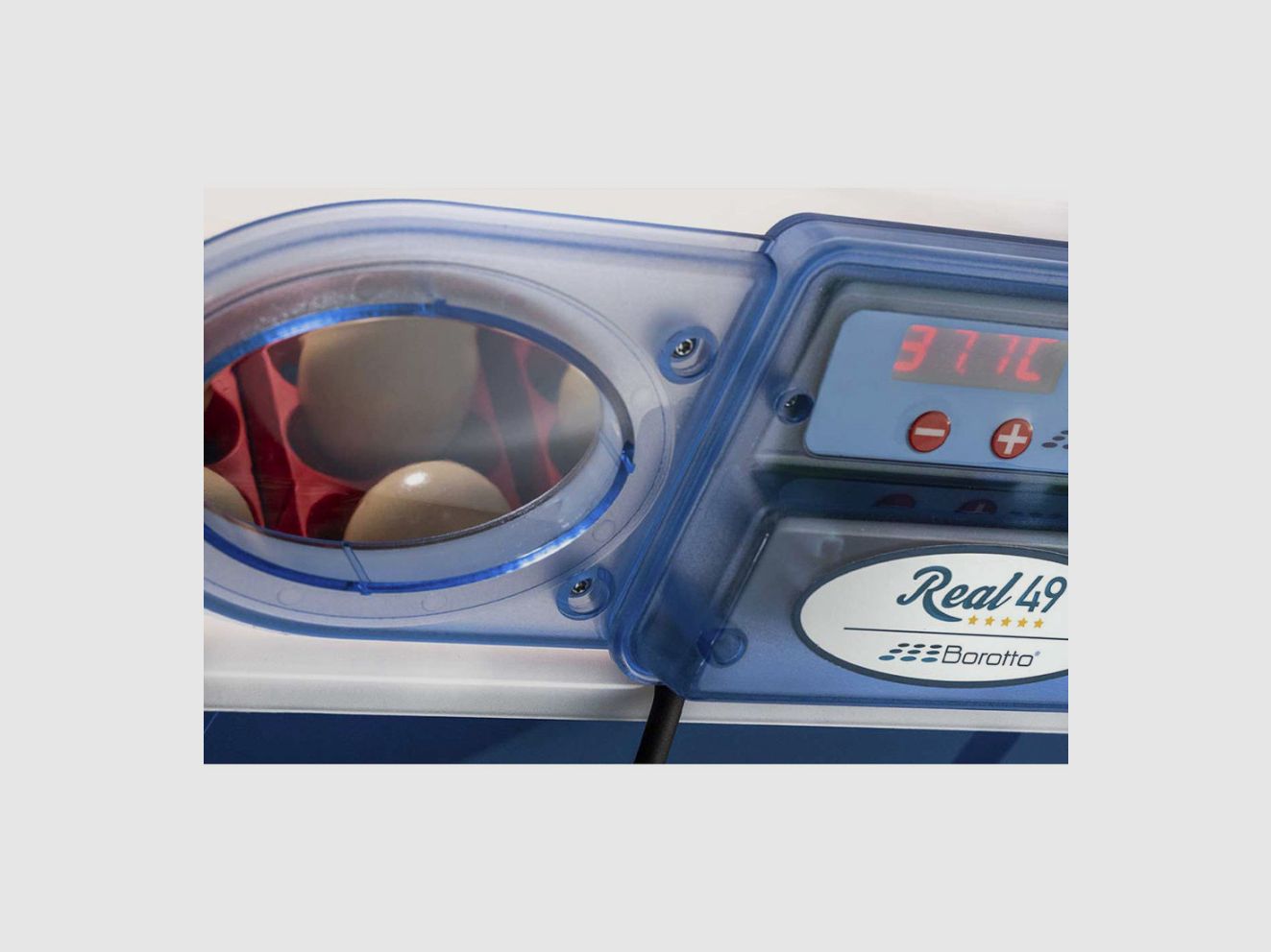 Eierbrüter REAL 49 Eier BOROTTO halbautomatisch, Bild 2 von 5