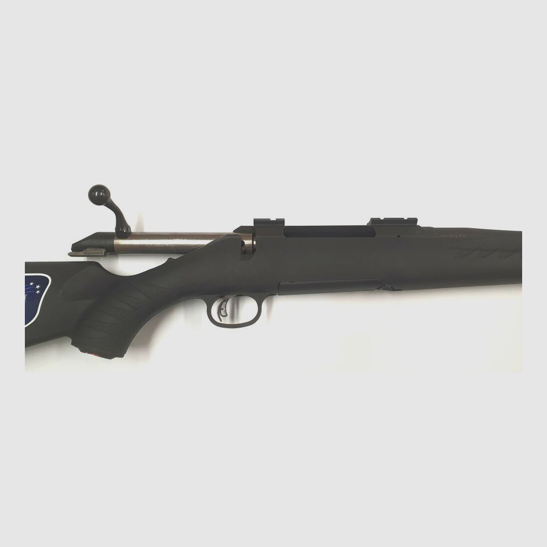 RUGER American Rifle