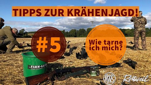 5 // Wie tarne ich mich bei der Krähenjagd?