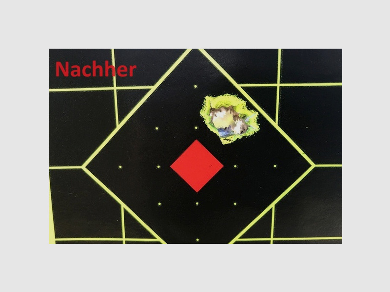 .25 Slugs für Huben GK1 / K1 - Für kleinere Streukreise - 3,24g