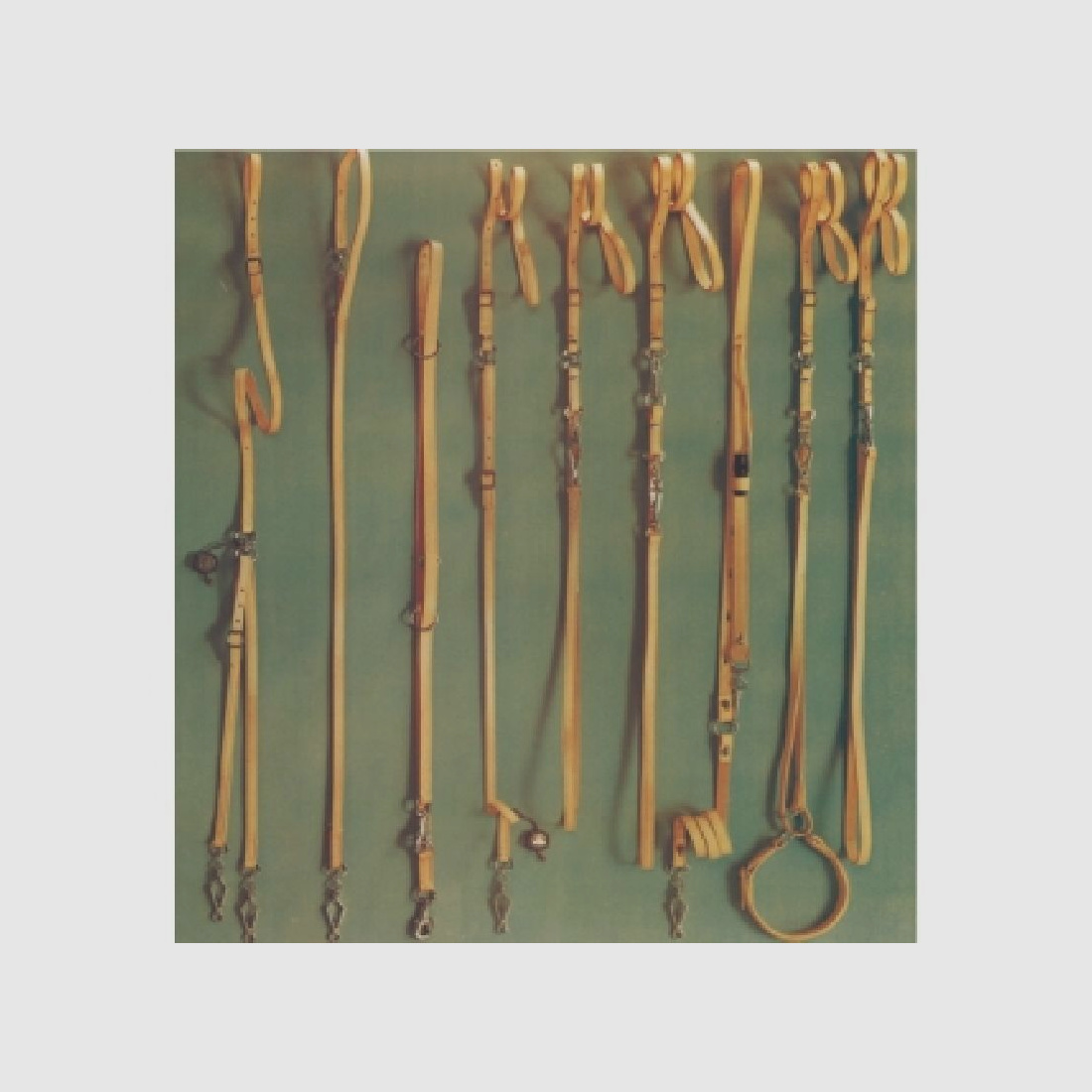 AKAH Polizeileine aus Fahlleder