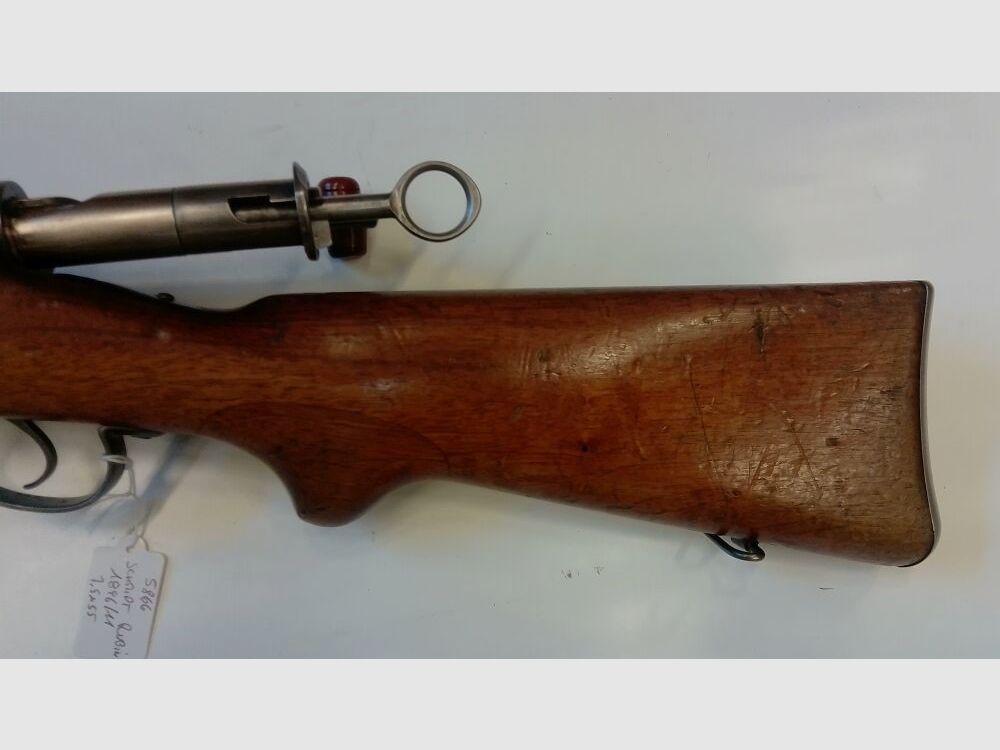 Schmidt Rubin 1896/11