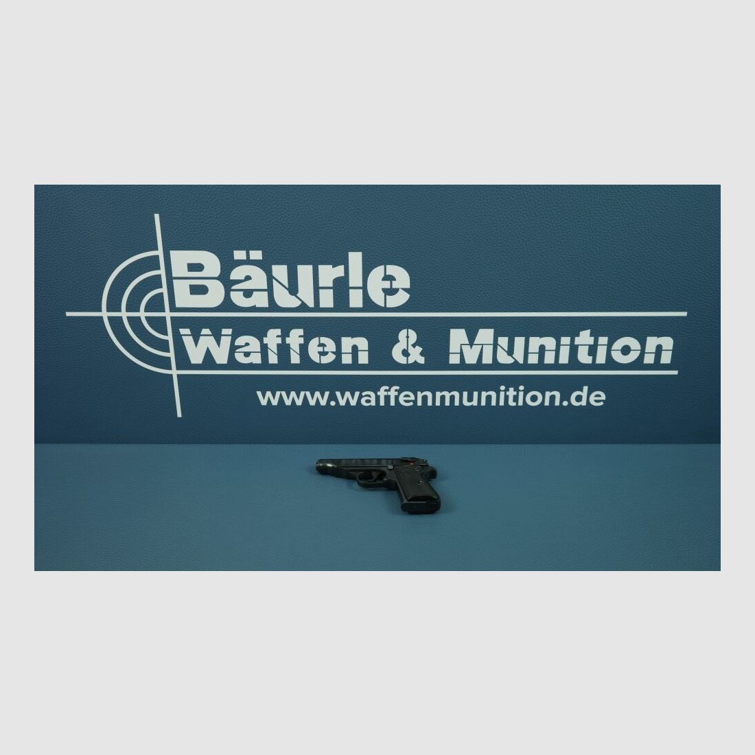 Walther PP .22lr