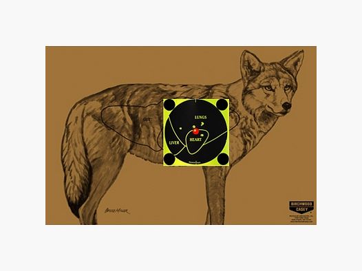 Conjunto de dianas Coyote