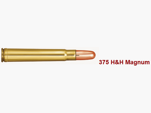 PRVI/PPU .375 H&H Magnum FMJ 300 gr. - 20 Stk.