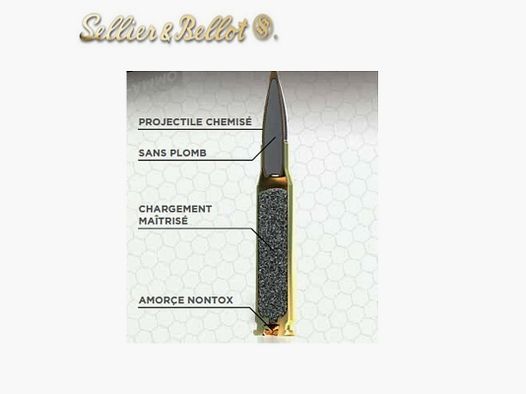 50 Munitions S&B Screen-Ammo Cal 9,3×62 159gr Zinc-Fmj