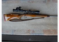 BSA rifle 243 Win. con scope 4-12x50